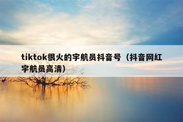 tiktok很火的宇航员抖音号（抖音网红宇航员高清）