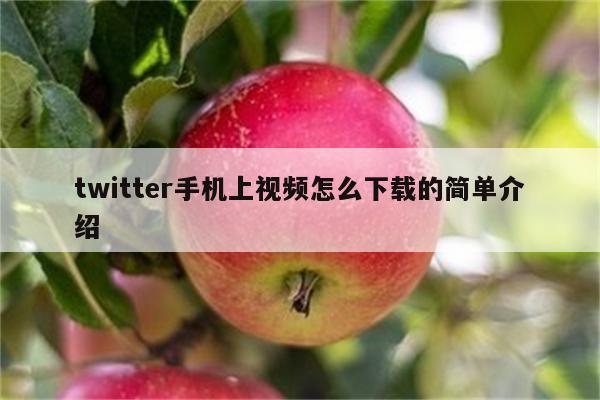 twitter手机上视频怎么下载的简单介绍