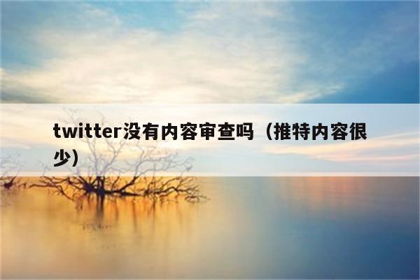 twitter没有内容审查吗（推特内容很少）