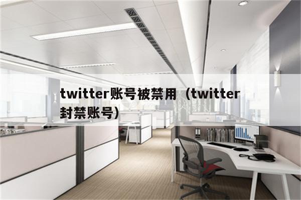 twitter账号被禁用（twitter封禁账号）