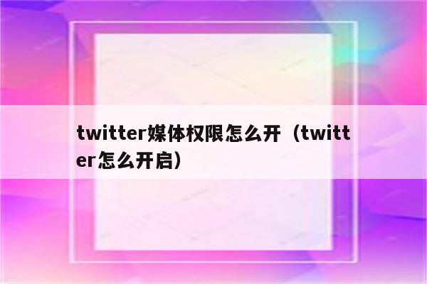 twitter媒体权限怎么开（twitter怎么开启）