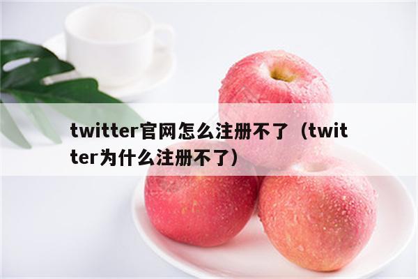 twitter官网怎么注册不了（twitter为什么注册不了）