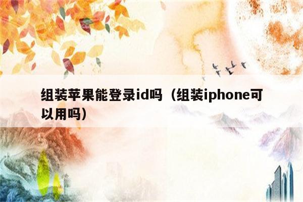 组装苹果能登录id吗（组装iphone可以用吗）