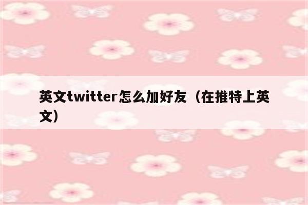 英文twitter怎么加好友（在推特上英文）