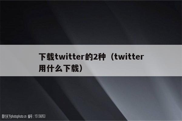 下载twitter的2种（twitter用什么下载）