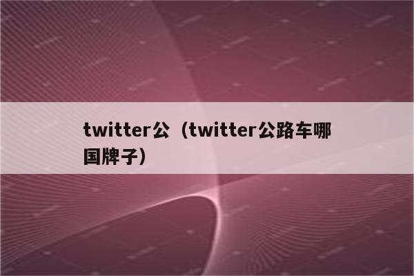 twitter公（twitter公路车哪国牌子）