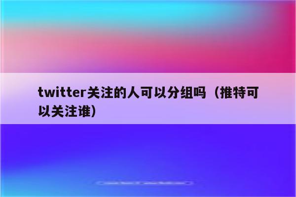 twitter关注的人可以分组吗（推特可以关注谁）