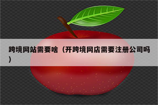 跨境网站需要啥（开跨境网店需要注册公司吗）