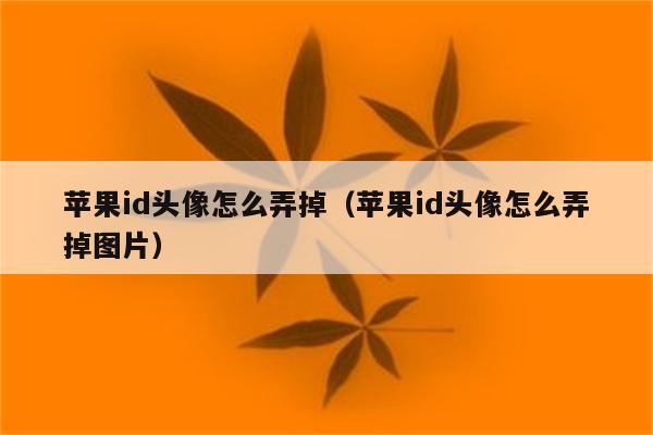 苹果id头像怎么弄掉（苹果id头像怎么弄掉图片）