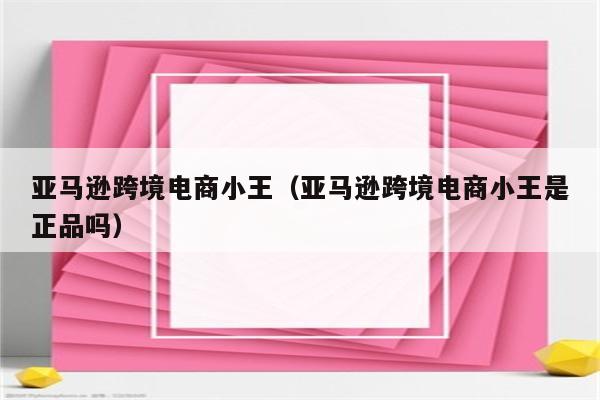 亚马逊跨境电商小王（亚马逊跨境电商小王是正品吗）