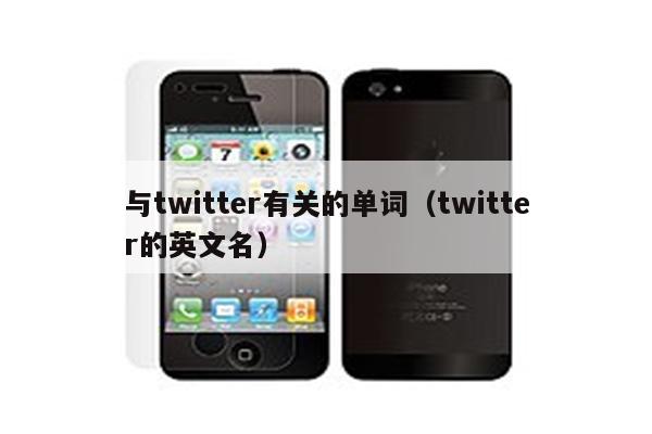 与twitter有关的单词（twitter的英文名）