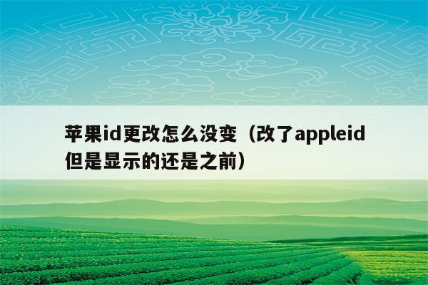 苹果id更改怎么没变（改了appleid但是显示的还是之前）