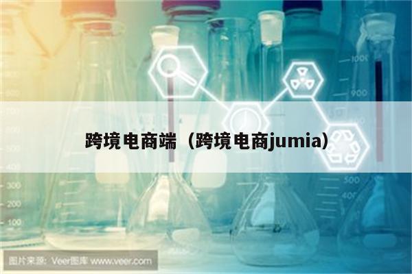 跨境电商端（跨境电商jumia）