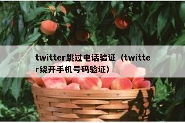 twitter跳过电话验证（twitter绕开手机号码验证）