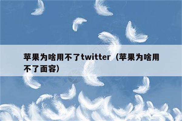 苹果为啥用不了twitter（苹果为啥用不了面容）