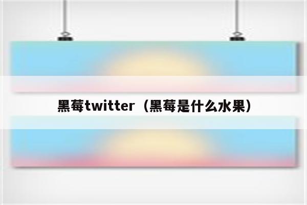 黑莓twitter（黑莓是什么水果）