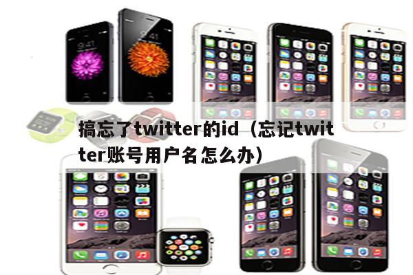 搞忘了twitter的id（忘记twitter账号用户名怎么办）