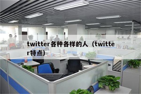 twitter各种各样的人（twitter特点）