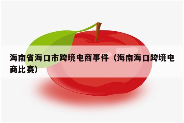 海南省海口市跨境电商事件（海南海口跨境电商比赛）