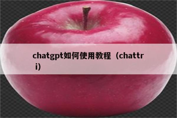 chatgpt如何使用教程（chattr i）