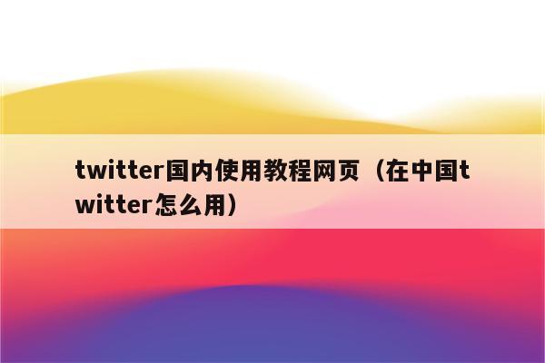 twitter国内使用教程网页（在中国twitter怎么用）