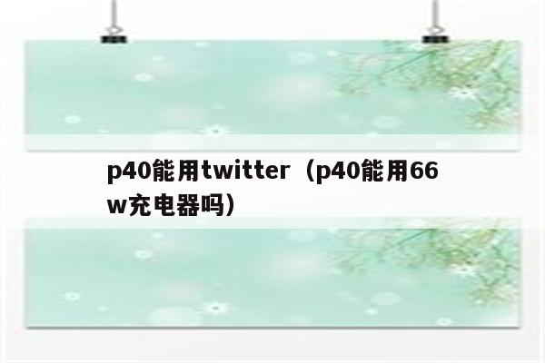 p40能用twitter（p40能用66w充电器吗）