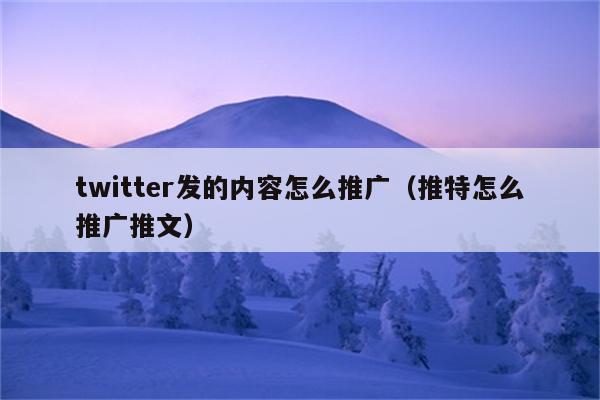 twitter发的内容怎么推广（推特怎么推广推文）