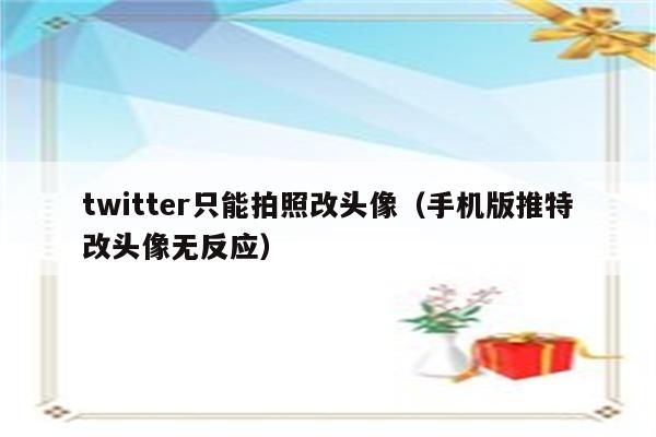 twitter只能拍照改头像（手机版推特改头像无反应）