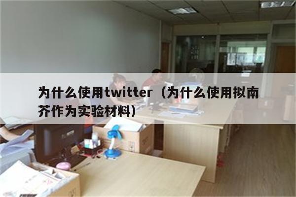 为什么使用twitter（为什么使用拟南芥作为实验材料）