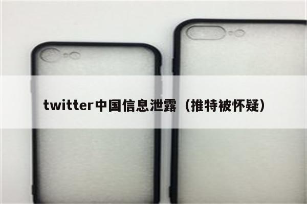 twitter中国信息泄露（推特被怀疑）