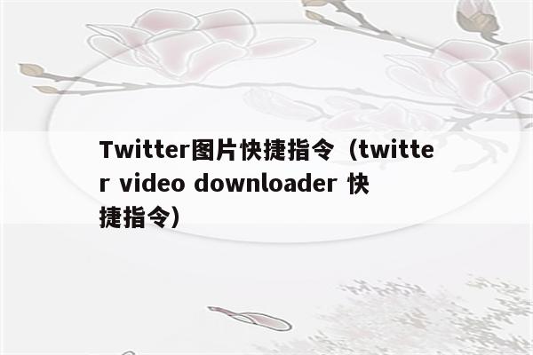 Twitter图片快捷指令（twitter video downloader 快捷指令）