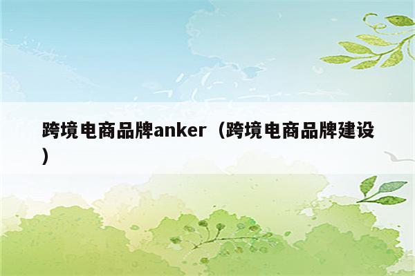 跨境电商品牌anker（跨境电商品牌建设）