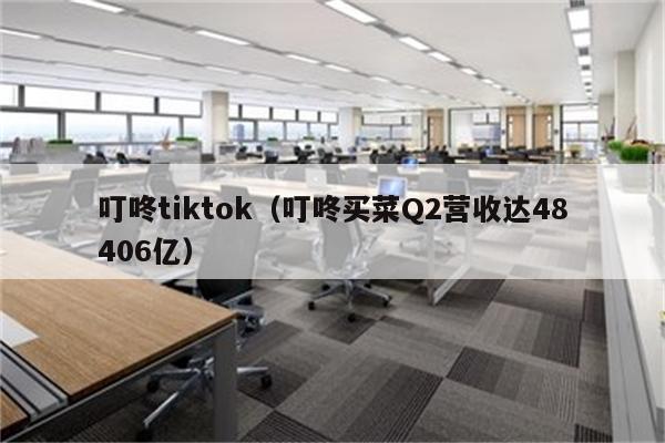 叮咚tiktok（叮咚买菜Q2营收达48406亿）