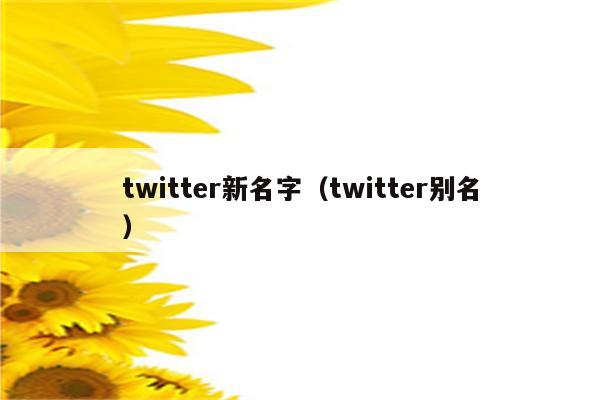 twitter新名字（twitter别名）