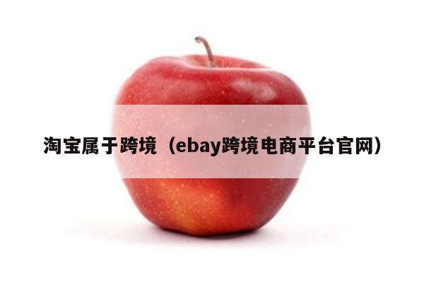 淘宝属于跨境（ebay跨境电商平台官网）