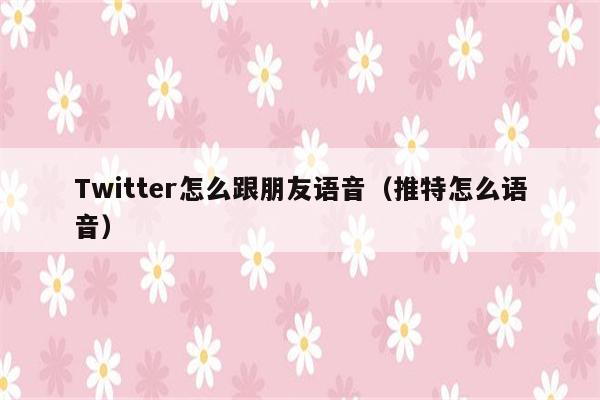 Twitter怎么跟朋友语音（推特怎么语音）