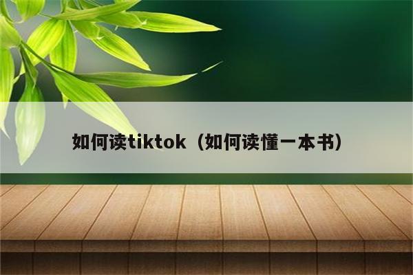 如何读tiktok（如何读懂一本书）