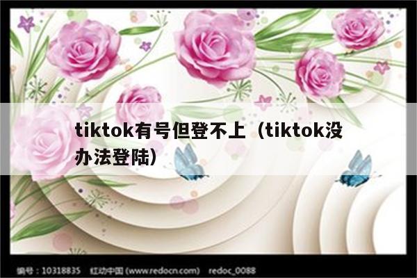 tiktok有号但登不上（tiktok没办法登陆）