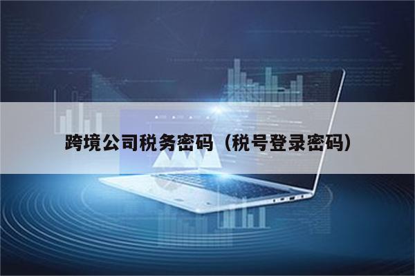 跨境公司税务密码（税号登录密码）