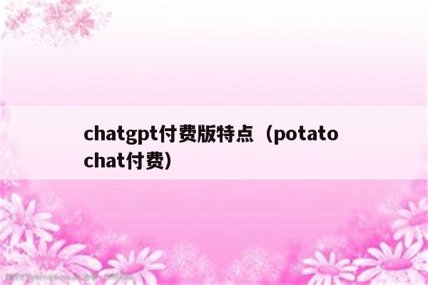 chatgpt付费版特点（potato chat付费）