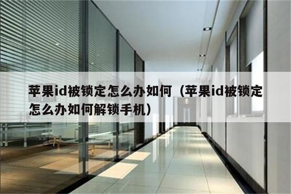 苹果id被锁定怎么办如何（苹果id被锁定怎么办如何解锁手机）