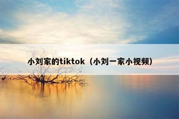 小刘家的tiktok（小刘一家小视频）