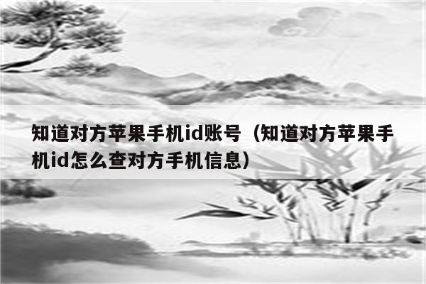 知道对方苹果手机id账号（知道对方苹果手机id怎么查对方手机信息）