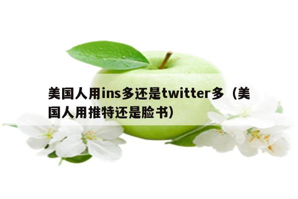 美国人用ins多还是twitter多（美国人用推特还是脸书）