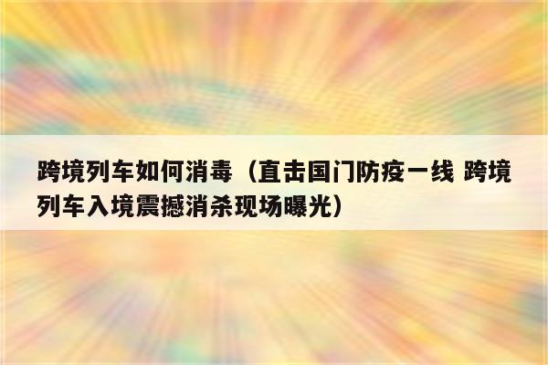 跨境列车如何消毒（直击国门防疫一线 跨境列车入境震撼消杀现场曝光）