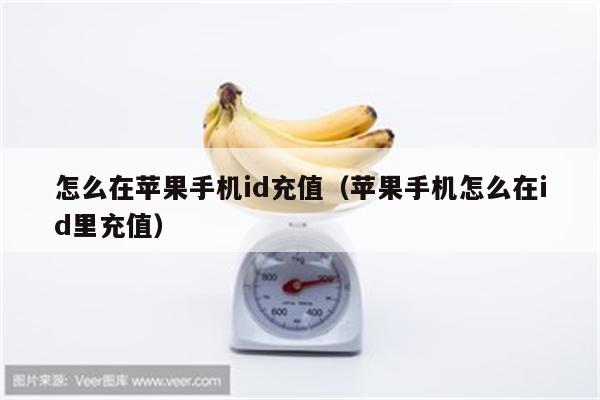 怎么在苹果手机id充值（苹果手机怎么在id里充值）