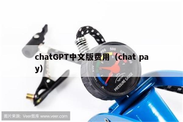 chatGPT中文版费用（chat pay）