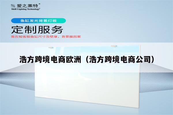 浩方跨境电商欧洲（浩方跨境电商公司）