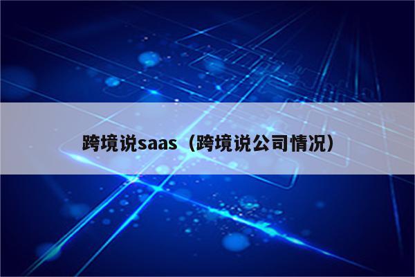 跨境说saas（跨境说公司情况）