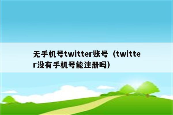 无手机号twitter账号（twitter没有手机号能注册吗）